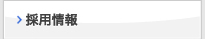 採用情報